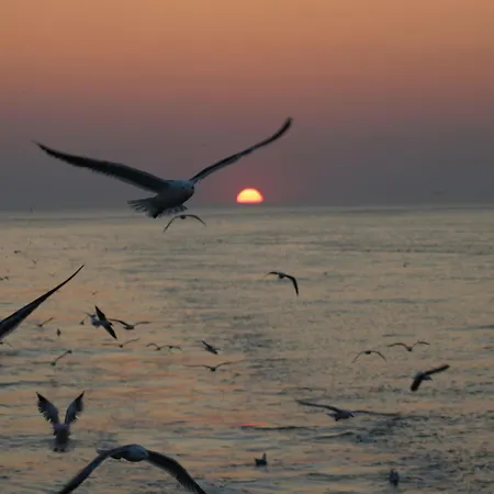 Fischer Sien Huus-7 By Interhome *